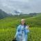 Mama Gia Homestay