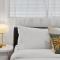 Alex Beachside Pet Friendly 2 Bed Apartment