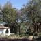 Rose Cottage Wildlife In & Outdoor Chill