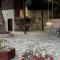 Elis superb villa