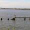Sunchase Beachfront #210
