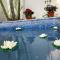 Comfy House with Heated Pool - Lomas de Angelopolis