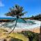 Coconut Beach Club Apartments