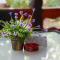 Villa Hannas Garden - Mintia