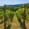 Wine Garden House