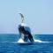 Ningaloo Lodge Exmouth