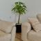 Deluxe apartament in the center of Gjilan