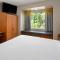 Microtel Inn & Suites by Wyndham Ann Arbor