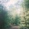 Ilex Forest Retreat Camp Azalea - Tustin