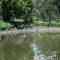 Drinkwater Guest Farm - Grootgewaagd