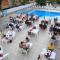Catty Cats Garden Hotel