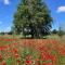 Podere DellArco Country Charme