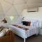 Faraway Domes