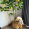 Modern Resort at Onnut BTS Condo Bangkok Free Shuttle bus - 帕卡农区