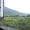 Mountain Orchard Retreat Pahalgam - 帕哈尔加姆