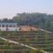 Simpang Pertang Hilltop Orchard Stay - Pertang