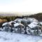 Chamkoria Chalets - Borovets