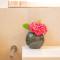Graf Chiemo Suites - direkt am Chiemsee mit separatem Seezugang - 希明格