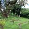Coquira Soil Project