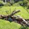 Dollery House - Port Alfred
