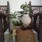 3 Bedroom house in Colombo 9