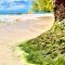 Barbados Exotic luxury living
