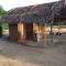 Jungle Surf Camp