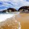 Jungle Surf Camp
