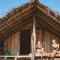 Jungle Surf Camp