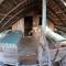 Jungle Surf Camp