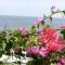 Colibri Lodge