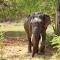 Basecamp - Yala