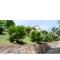 Ogumka 2 , self catering , Santa Maria , Mahe , Seychelles