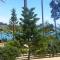 Algarrobo Apartment