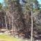 Algarrobo Apartment