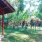 Tereng Wilis Jungle Inn