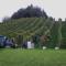Buschenschank Orsl