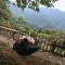 cottage panorama merisi