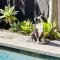 Family & Pet Beach House
