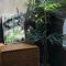 Jnineguesthouse - Seul
