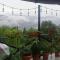 GUEST HOUSE RIMAS HOME