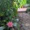 Casa Flora Garden Studio (Gite) - Sauzal