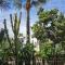 STAY Cactus House