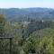 Wasgauer Felsen und Seen - Ludwigswinkel