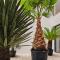 Apartament Wakacyjny Baltic Waves Resort - taras 180 m2 - 米兹多洛杰