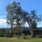 Finca las Flores - Guarne Antioquia