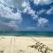 BeachnBarefoot (Love Beach) - nestled on the beach