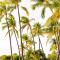 Sunset Shores - UNIT B Kaiupoho