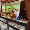 Banthai Guesthouse