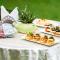 The Marwar Hotel & Gardens